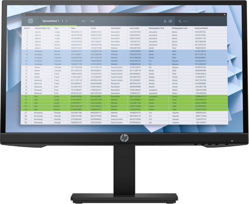 HP P22h G4 54,6 cm (21.5&quot;) 1920 x 1080 pixels Full HD IPS