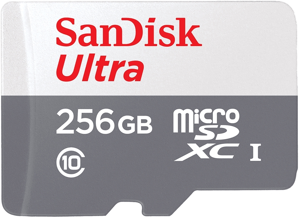SanDisk SDSQUNR-256G-GN3MN mémoire flash 256 Go MicroSDXC Classe 10