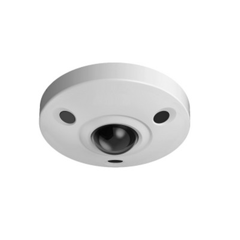 Camera 360° Panoramique 2M Dome