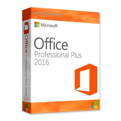Microsoft Office Professionel Plus 2016 1 PC (X20-21392-01)