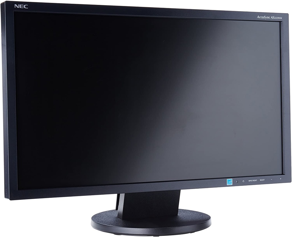 Iiyama Ecran ordinateur 19 Wide (Reconditionné)