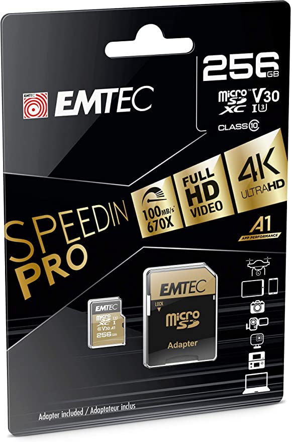 EmTech Carte Memoire 256Go CLASS 10