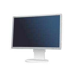 [a faire-(REF)] Nec Ecran ordinateur EA221Wm (Reconditionné)