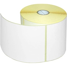 [ETIQUETTE 100*100 PPB] Etiquettes adhésives Polypropylène en rouleau 100x100 PPB (500)